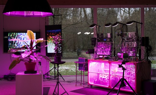 JAMMEN MET PLANTEN JAMMEN MET PLANTEN