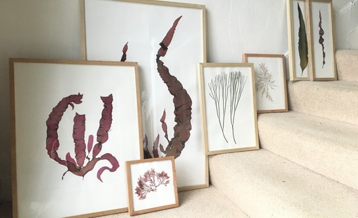 Ruth Kluckers Ruth Kluckers